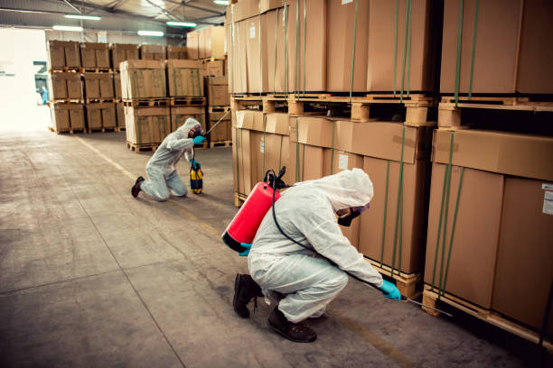 Best Best Pest Control Companies  in Fairfield Glade, TN