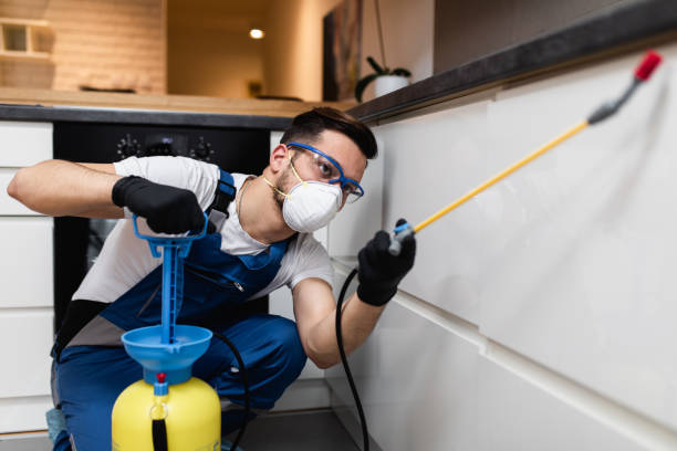 Best Affordable Pest Control Services  in Fairfield Glade, TN