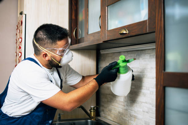 Best Emergency Pest Control  in Fairfield Glade, TN