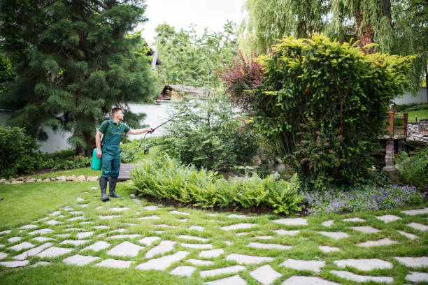 Best Pest Inspection Near Me  in Fairfield Glade, TN