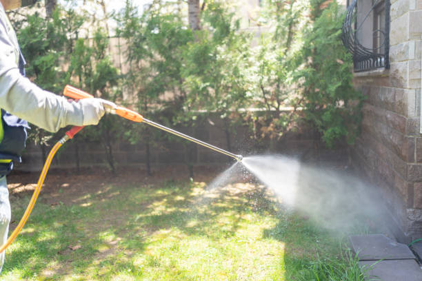 Best Termite Control Services  in Fairfield Glade, TN