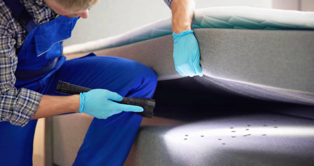 Wasp Removal Services in Fairfield Glade, TN