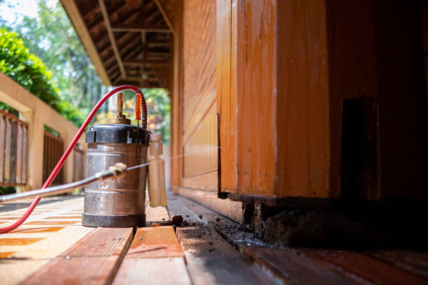 Best Pest Removal Services  in Fairfield Glade, TN