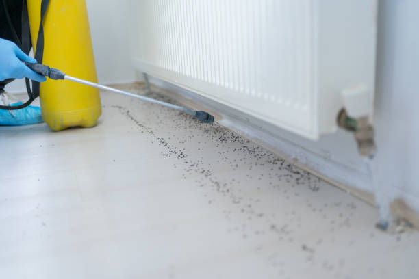 Best Mosquito Control Services  in Fairfield Glade, TN
