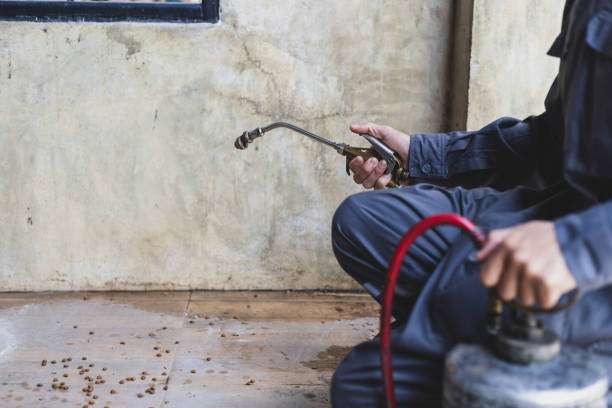 Best Exterminator Services  in Fairfield Glade, TN
